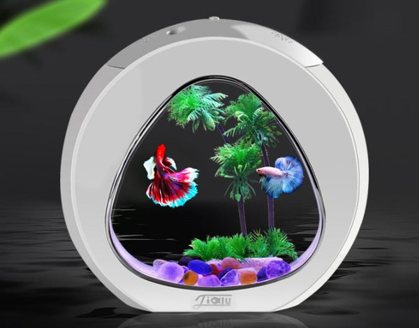 Handcrafted Desktop Ecosystem Terrarium Sphere