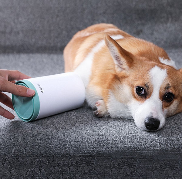 Gentle Paw Cleaner for Dogs