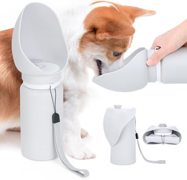 Leak-Proof Travel Water Bottle for Pets