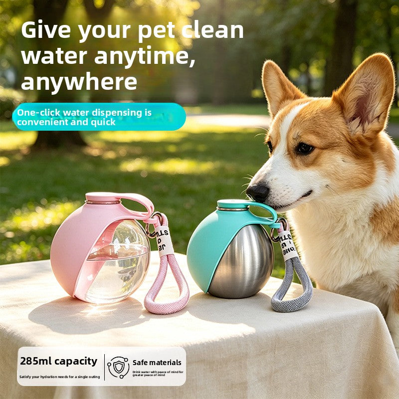 Portable stainless steel pet water bottle and bowl in Tiffany blue
