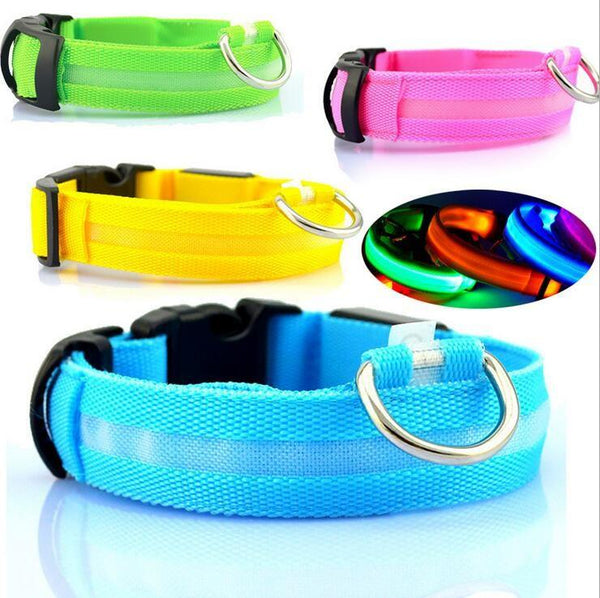 Reflective LED Safety Dog Collar - night visibility