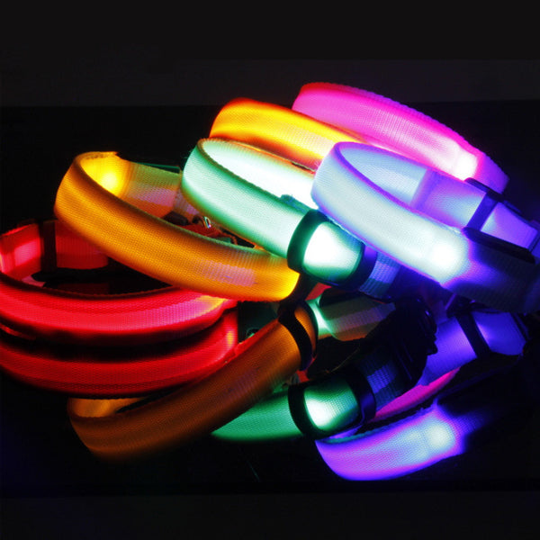 Reflective LED Safety Dog Collar - night visibility