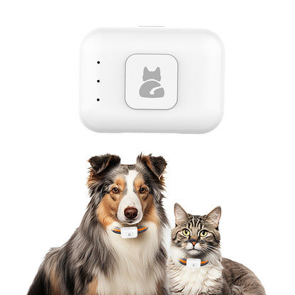 Pet GPS tracker 4G real-time location, IP67 waterproof design