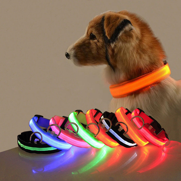 Reflective Safety LED Dog Collar — glow-in-dark illuminated collar for night walks