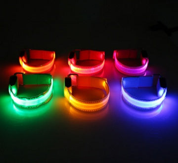 Reflective LED Safety Dog Collar - night visibility