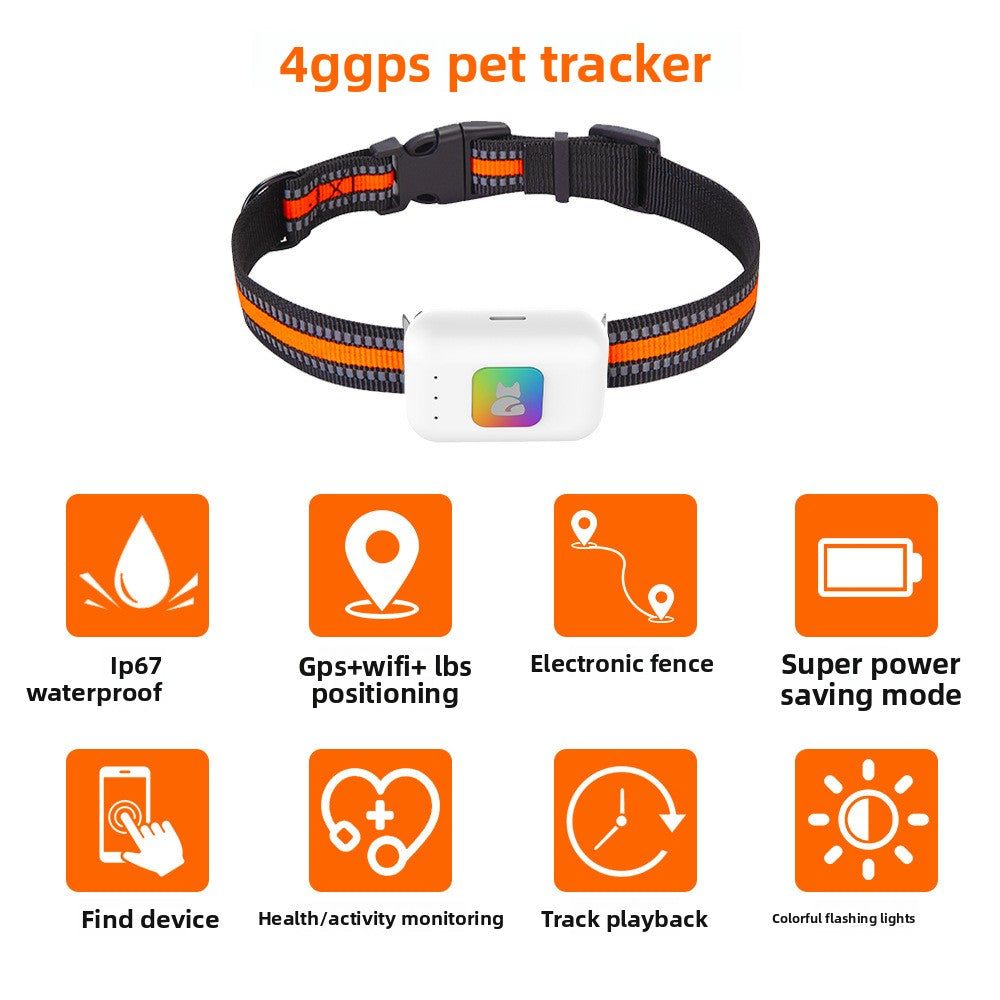 Pet GPS tracker app showing real-time pet location on map