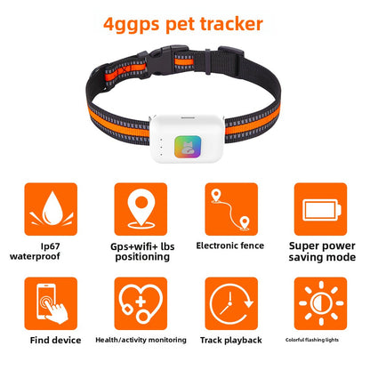 Pet GPS tracker app showing real-time pet location on map
